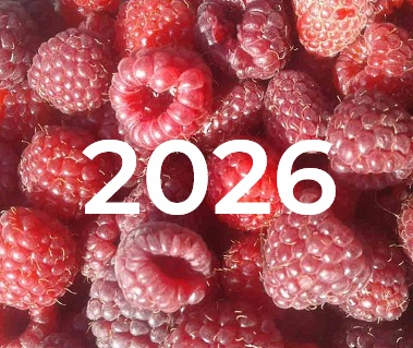 Мейданлы-2016