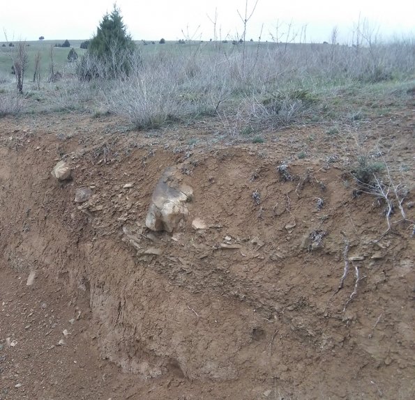 Soil at Aýal Ölän North