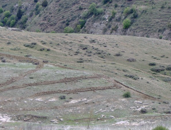 HPIM1188.JPG