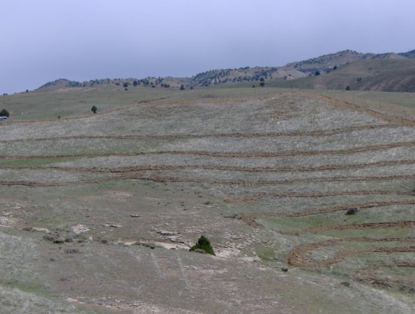 HPIM1190.JPG