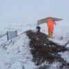 Rows for Raspberry in Winter