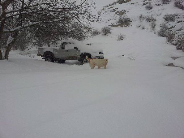Van Got Stacked on Broock Bottom in Goarge