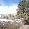 WP_20190208_11_59_44_Panorama