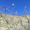IMG_20210216_103309_800x599
