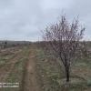 IMG_20210222_110303_800x599