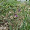 IMG_20210502_154208
