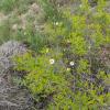 IMG_20210504_164920