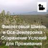 Media faýllary - Медиа-файлы