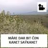 Mare Dar Bit