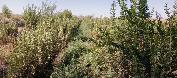 20220831_093520928