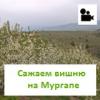 Murgapdaky işimiz - Работы на Мургапе