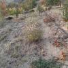 IMG_20211018_174556