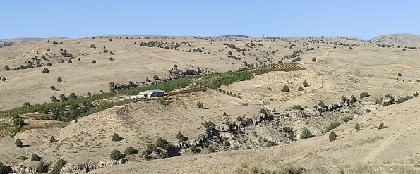 IMG_20211003_161041